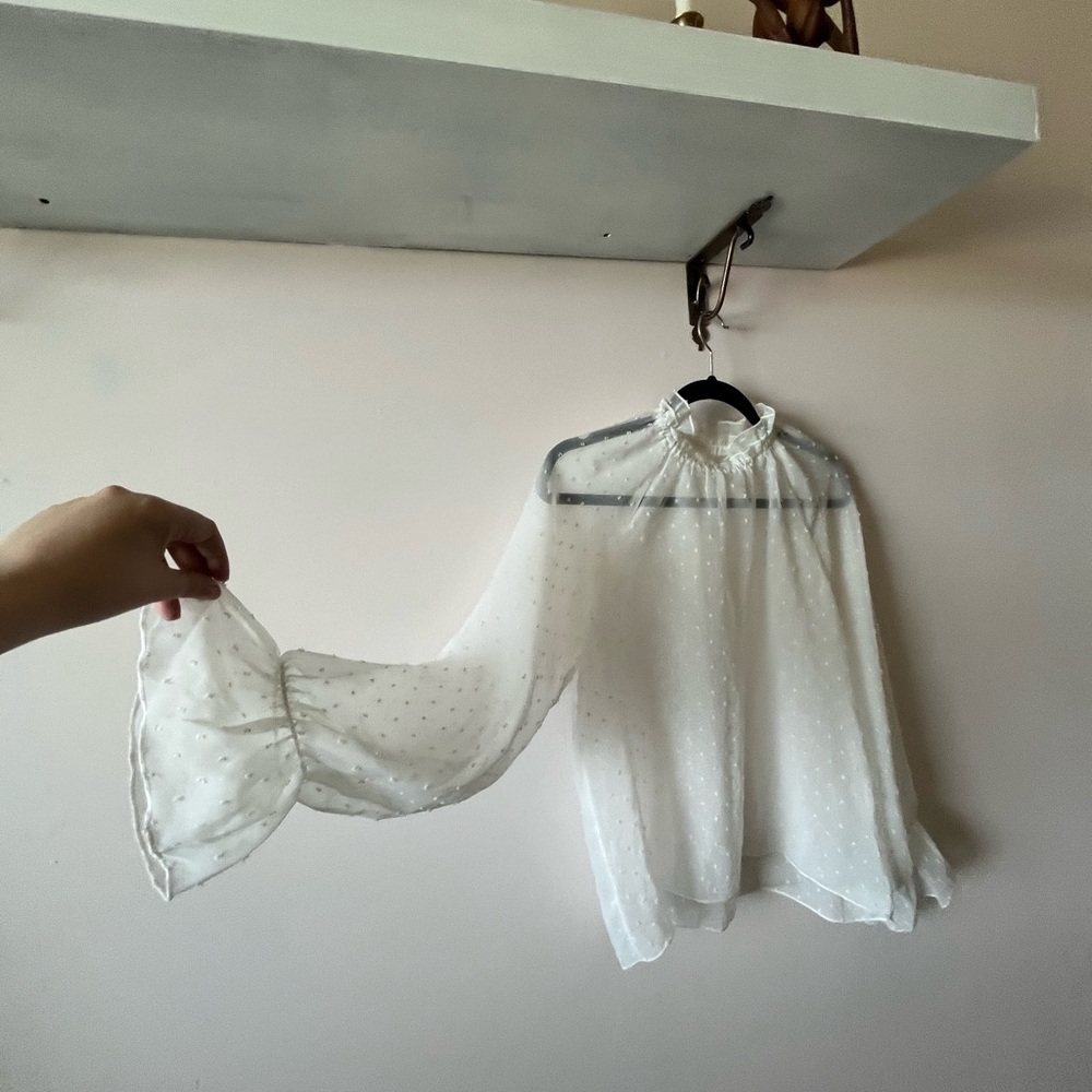White Ruffled Sheer Collar Blouse - Picture 2 of 3